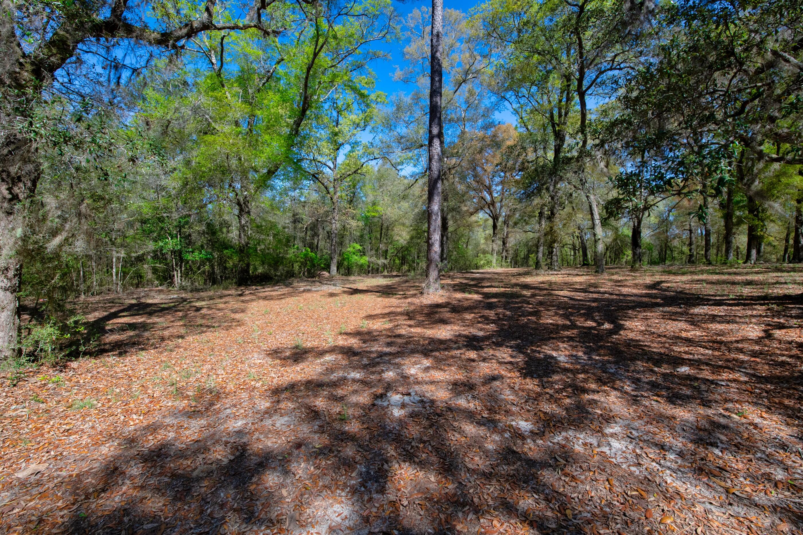1 Lindley Road Crestview, FL 32536 - Photo 64 of 80 a view of outdoor space with trees