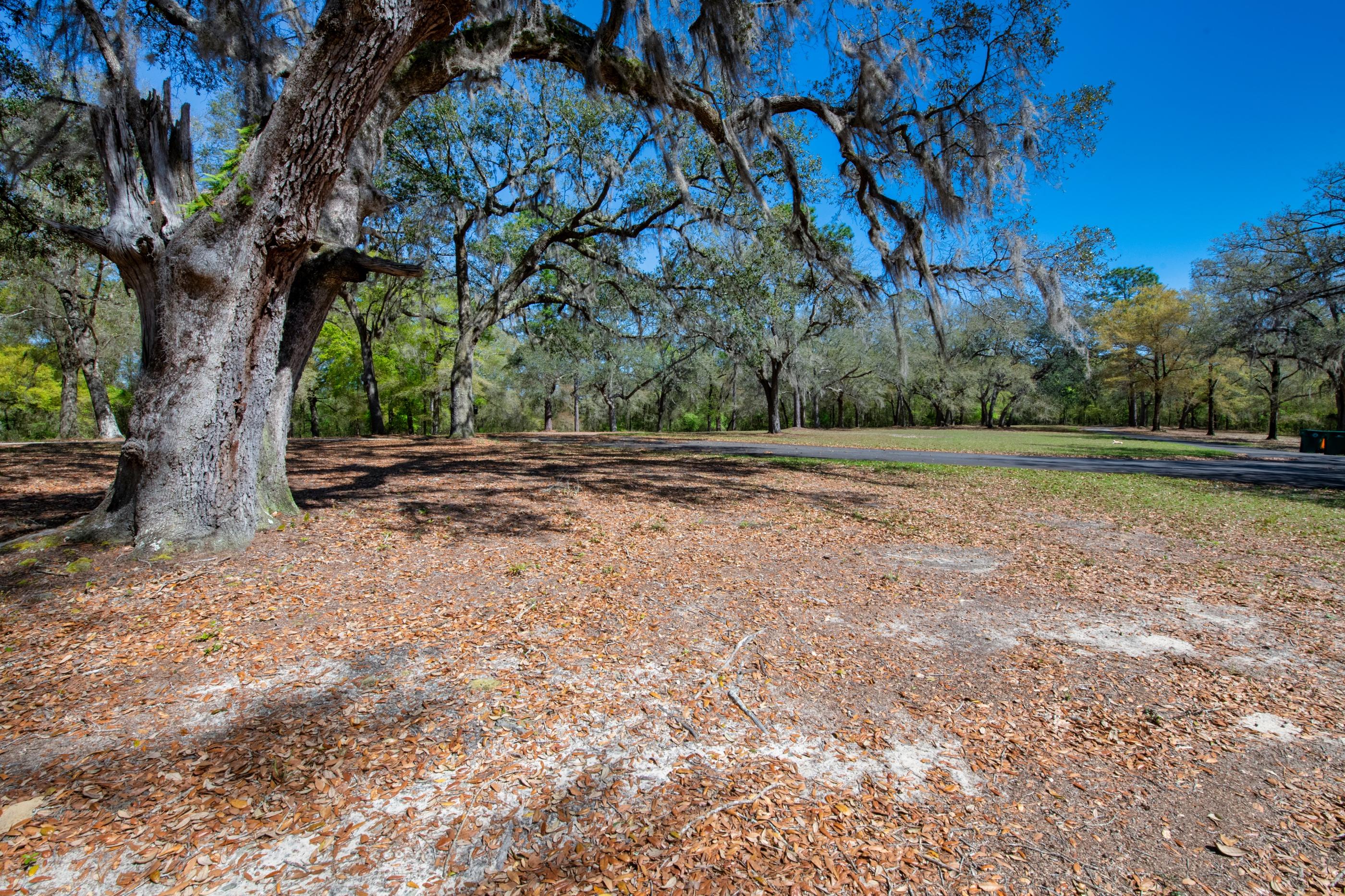 1 Lindley Road Crestview, FL 32536 - Photo 71 of 80 a view of outdoor space with trees
