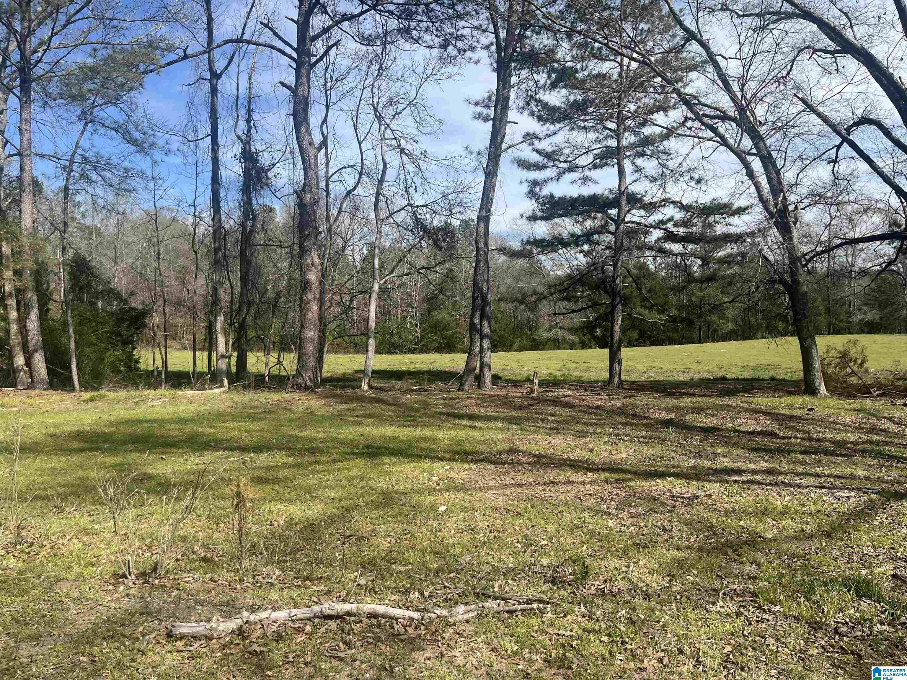 0 Crystal Lake Road West Blocton, AL 35184 - Photo 14 of 16