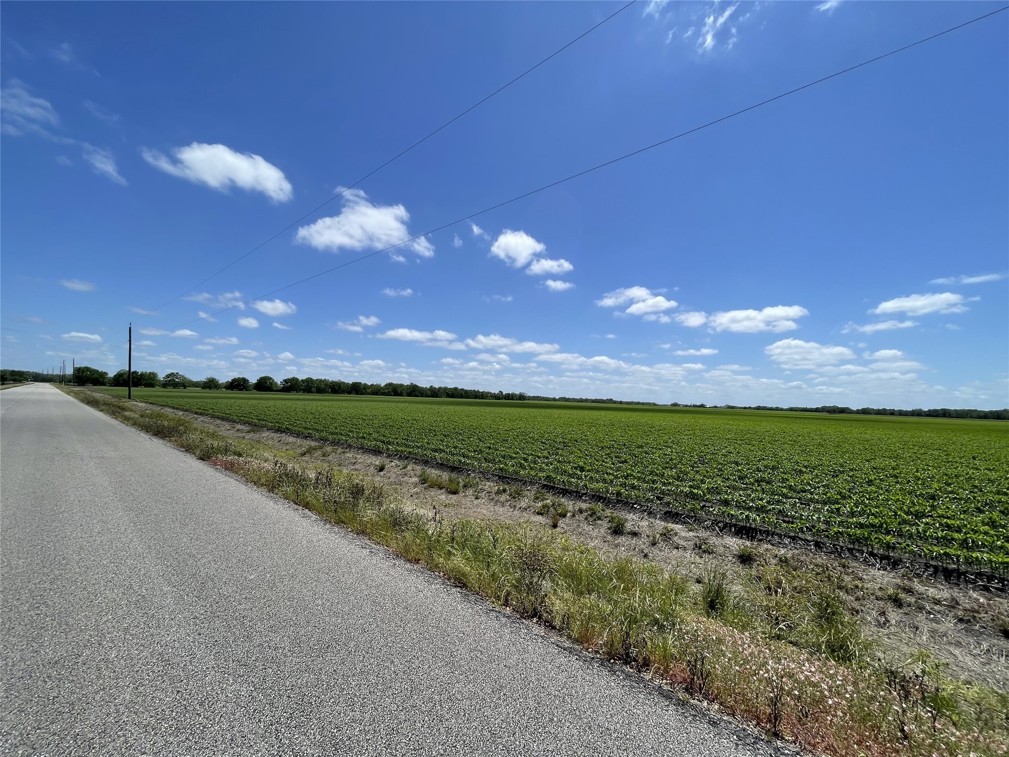 0 Schultz Road Damon, TX 77430 - Photo 6 of 9