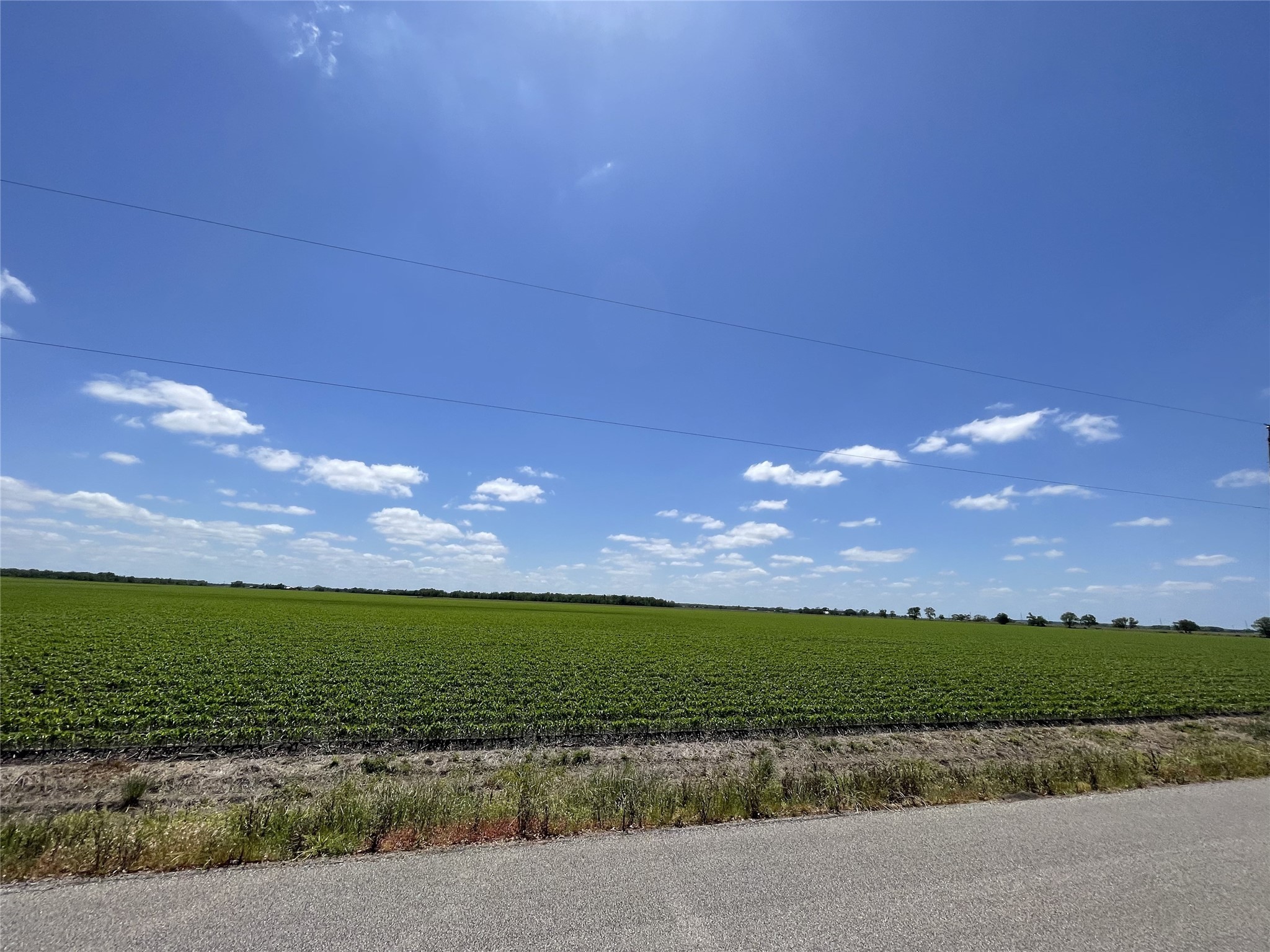 0 Schultz Road Damon, TX 77430 - Photo 8 of 9