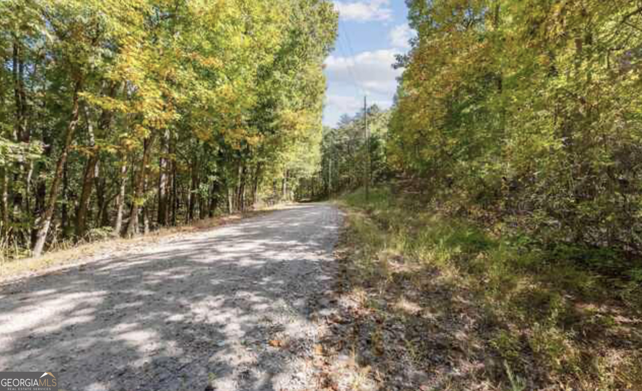 Lot 24 Luther Palmer Road Murrayville, GA 30564 - Photo 11 of 12