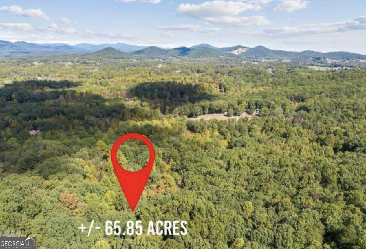 Lot 24 Luther Palmer Road Murrayville, GA 30564 - Photo 2 of 12