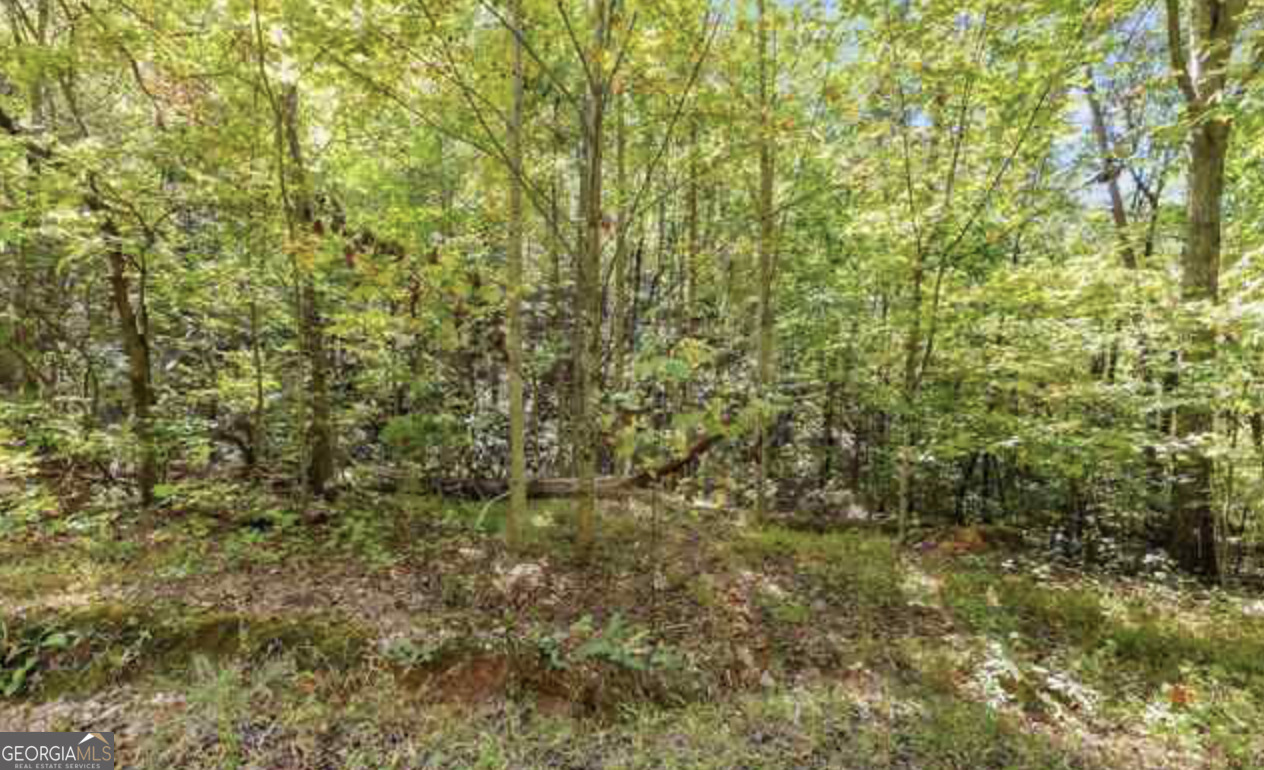 Lot 24 Luther Palmer Road Murrayville, GA 30564 - Photo 10 of 12