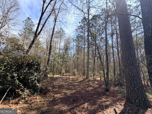 109 Collins Road Northwest Milledgeville, GA 31061 - Photo 28 of 31