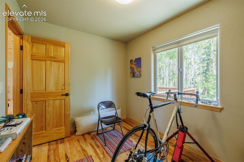 392 Aspen Village Road Divide, CO 80814 - Photo 27 of 43