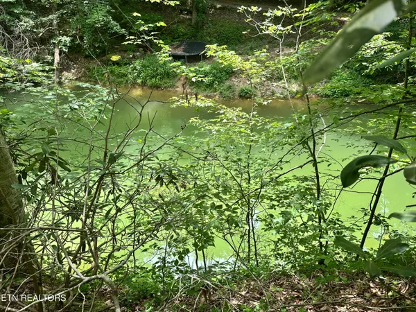 $119,900 | Woods Ridge Road, Dandridge, TN 37725