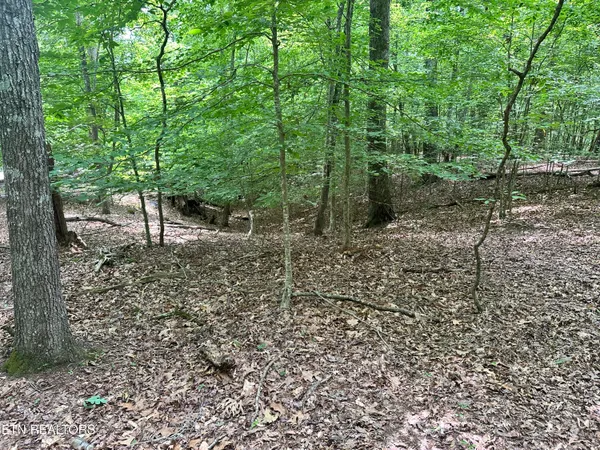 $119,900 | Woods Ridge Road, Dandridge, TN 37725