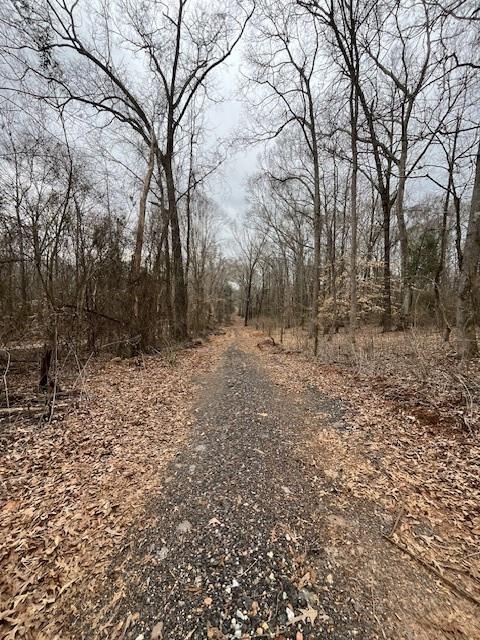 453 Johnson Mill Road Jefferson, GA 30549 - Photo 3 of 4 a view of backyard with green space