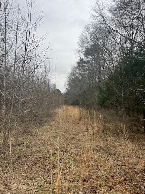 453 Johnson Mill Road Jefferson, GA 30549 - Photo 4 of 4 a view of a lake view