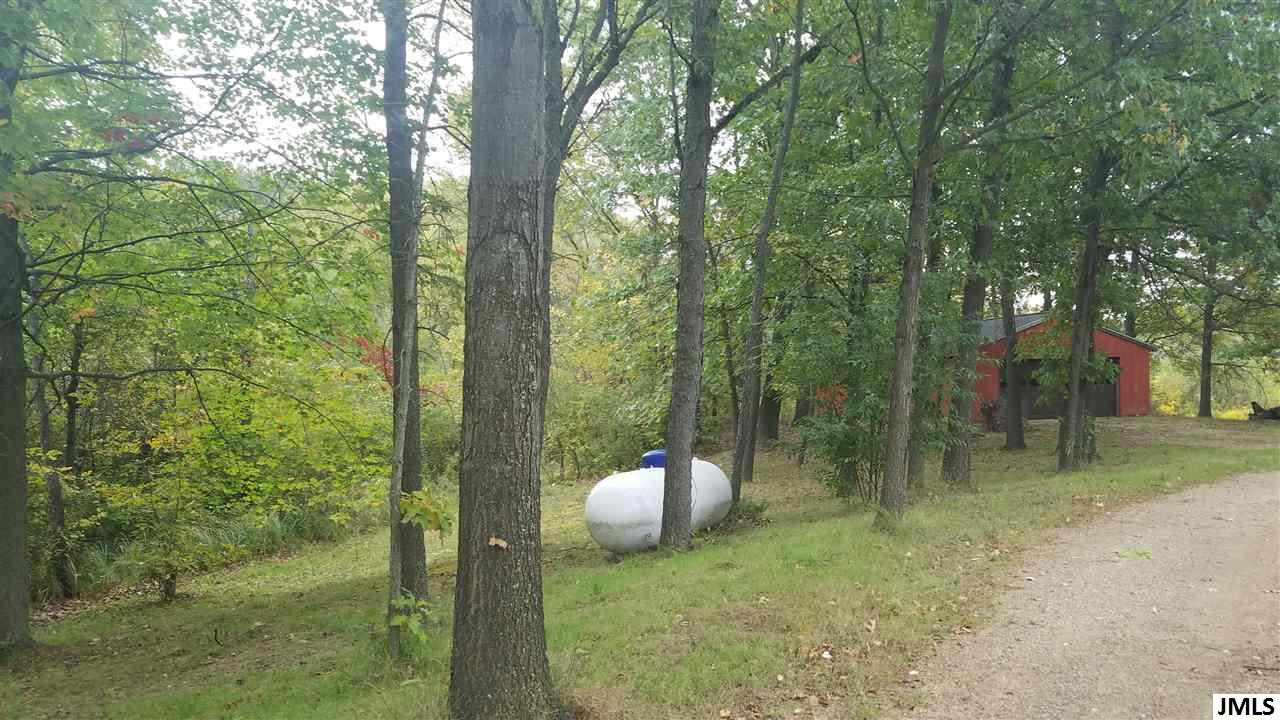 14800 Austin Road Manchester, MI 48158 - Photo 18 of 35 Photo 18