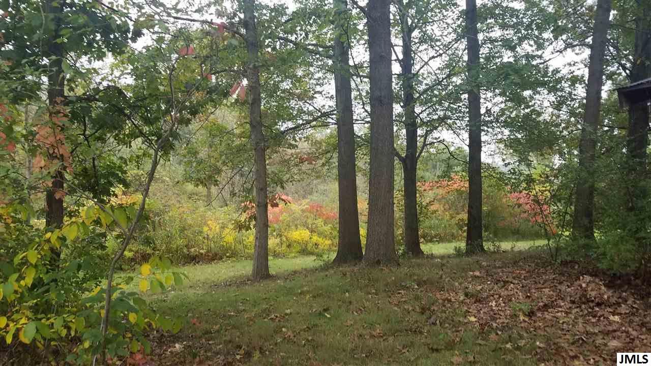 14800 Austin Road Manchester, MI 48158 - Photo 25 of 35 Photo 26