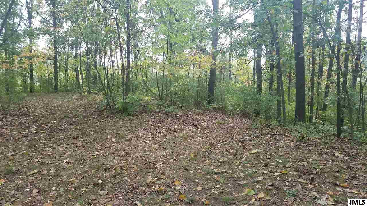 14800 Austin Road Manchester, MI 48158 - Photo 26 of 35 Photo 27