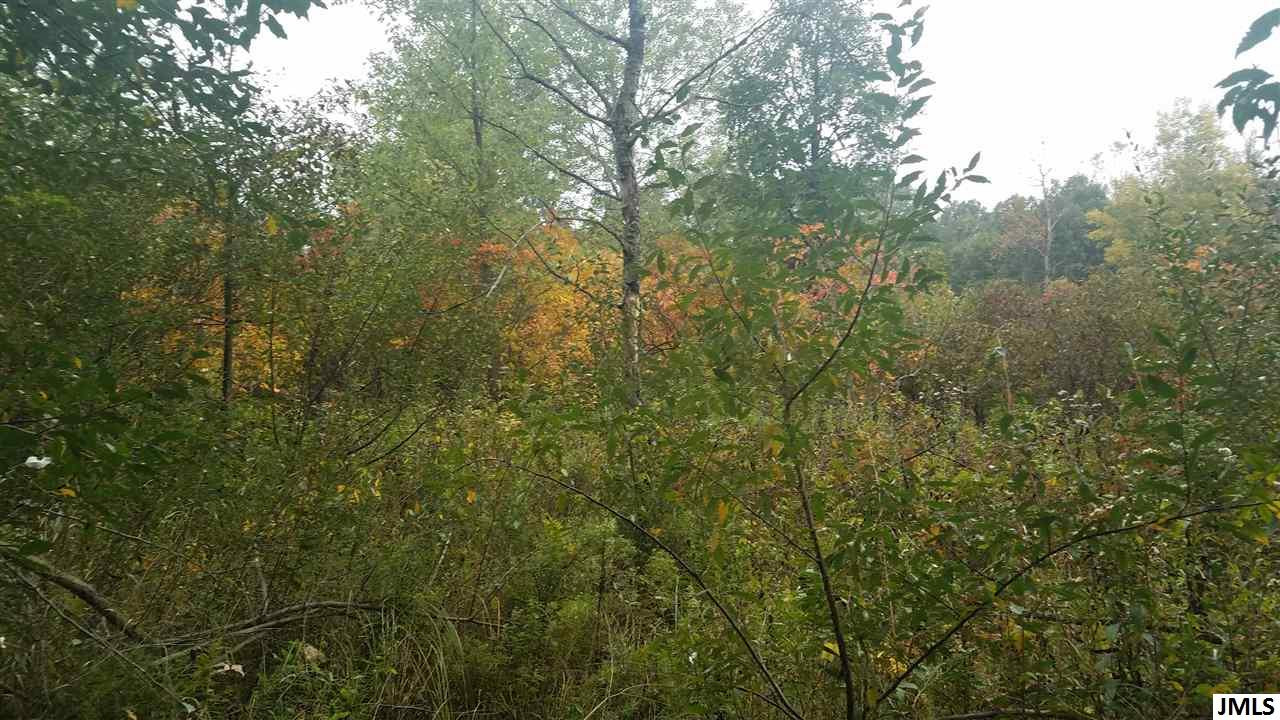 14800 Austin Road Manchester, MI 48158 - Photo 27 of 35 Photo 28