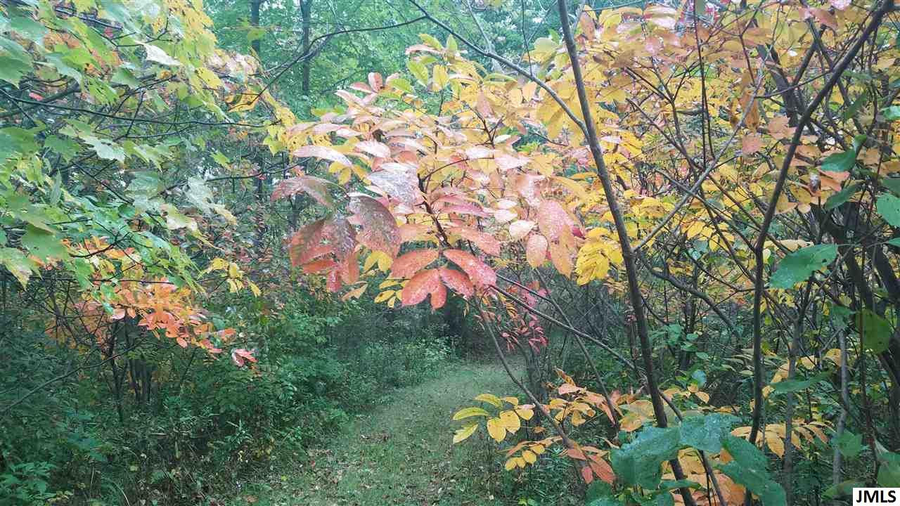 14800 Austin Road Manchester, MI 48158 - Photo 28 of 35 Photo 29