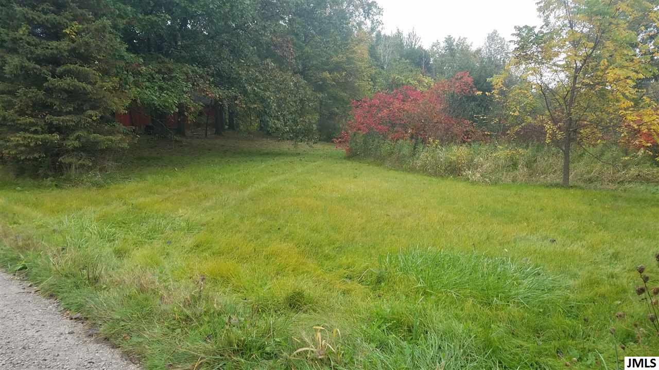 14800 Austin Road Manchester, MI 48158 - Photo 29 of 35 Photo 30