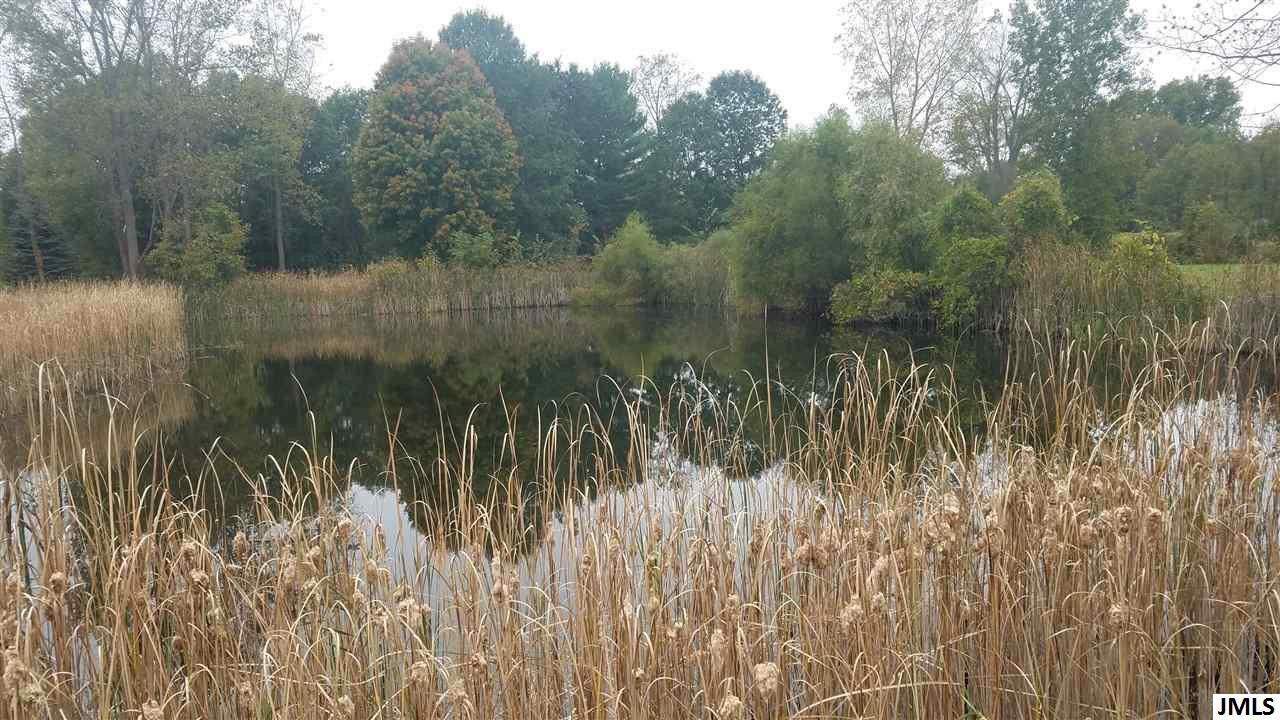 14800 Austin Road Manchester, MI 48158 - Photo 3 of 35 Photo 3