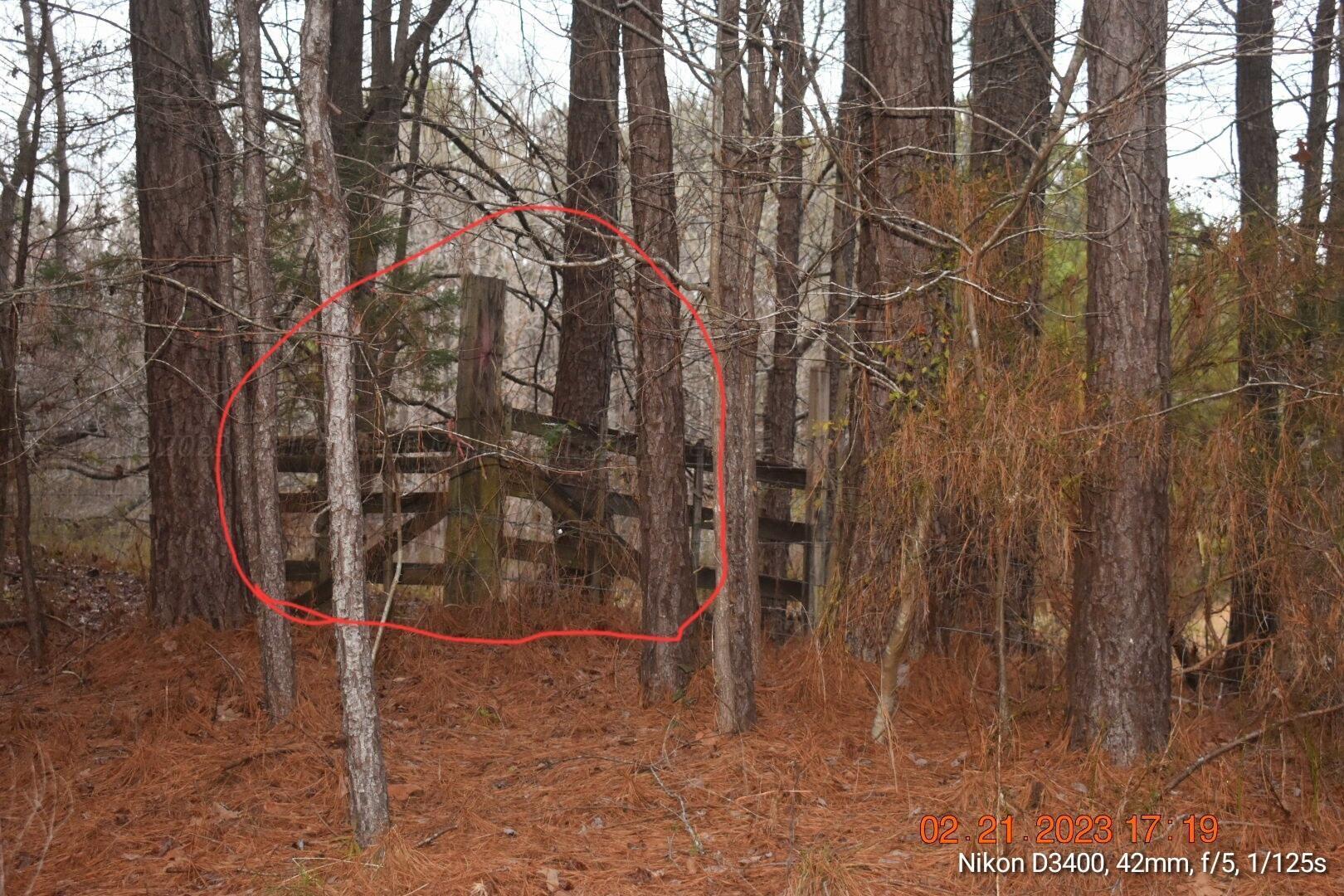 Leonards Chapel Road Carbon Hill, AL 35549 - Photo 39 of 41 Gallery Image 39
