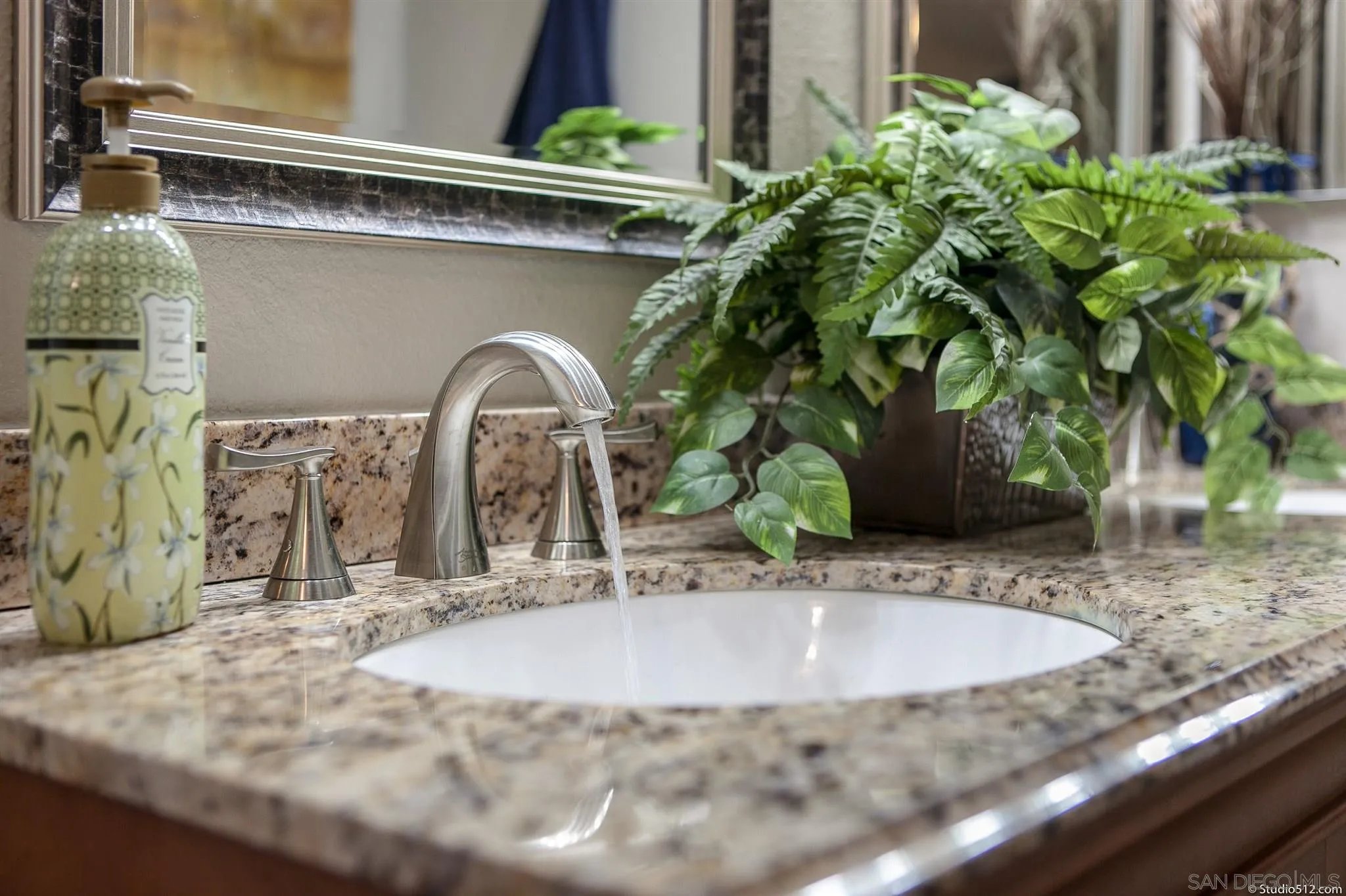 11425 Betsworth Road Valley Center, CA 92082 - Photo 17 of 24 a closeup view of a sink with a potted plant