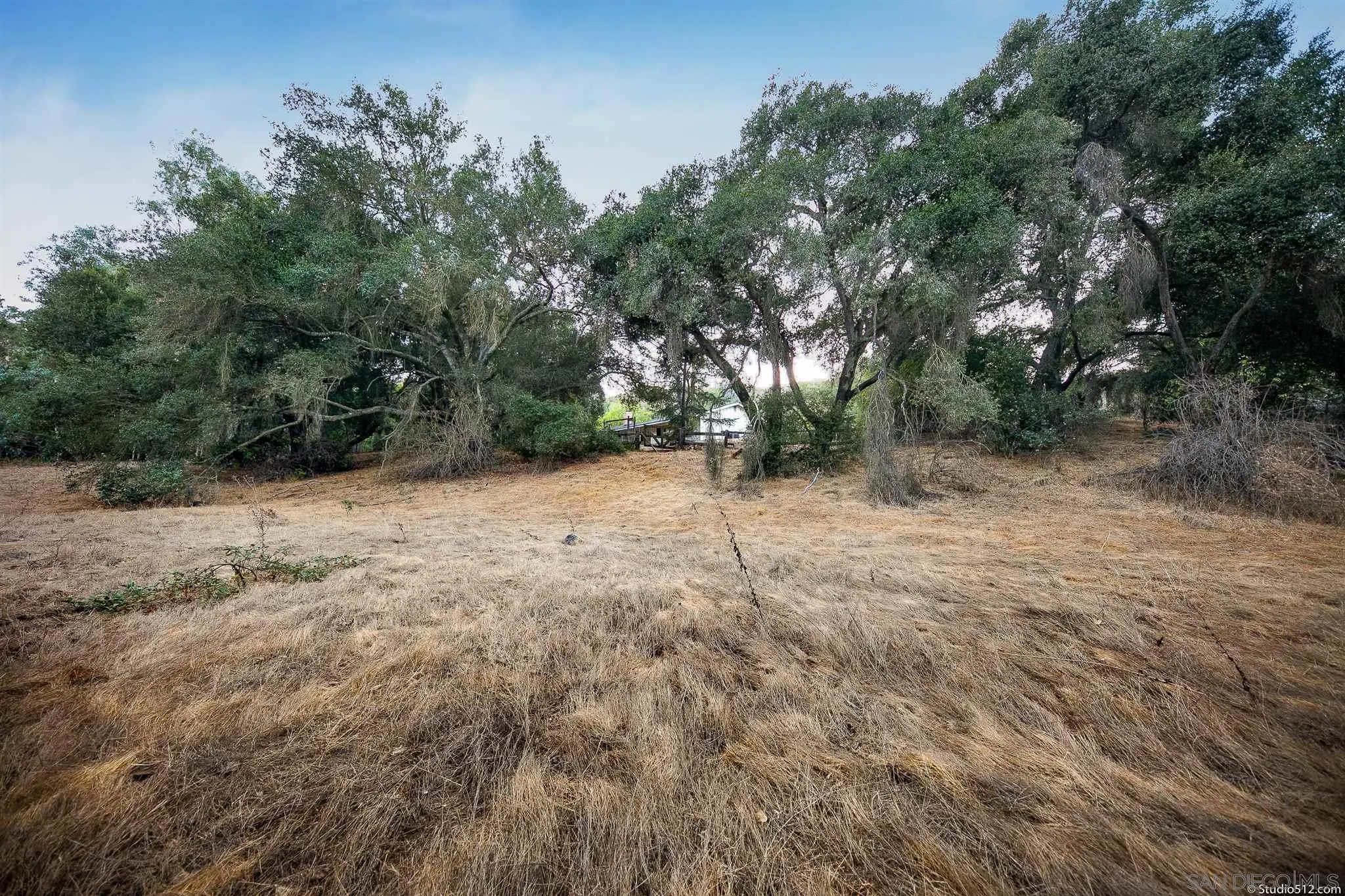 11425 Betsworth Road Valley Center, CA 92082 - Photo 22 of 24 a view of a dry yard with trees