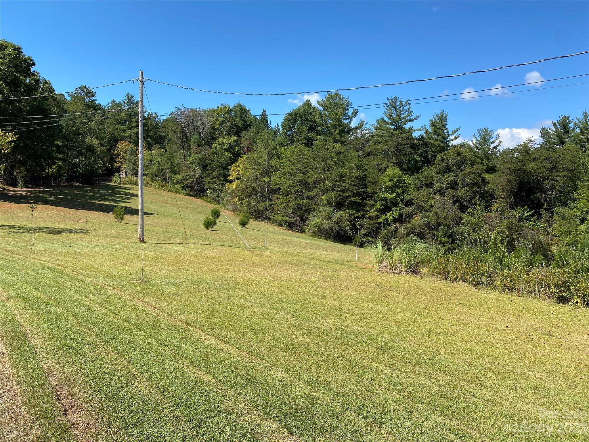 2130 Lail Road Glen Alpine, NC 28655 - Photo 5 of 41 Gallery Image 5