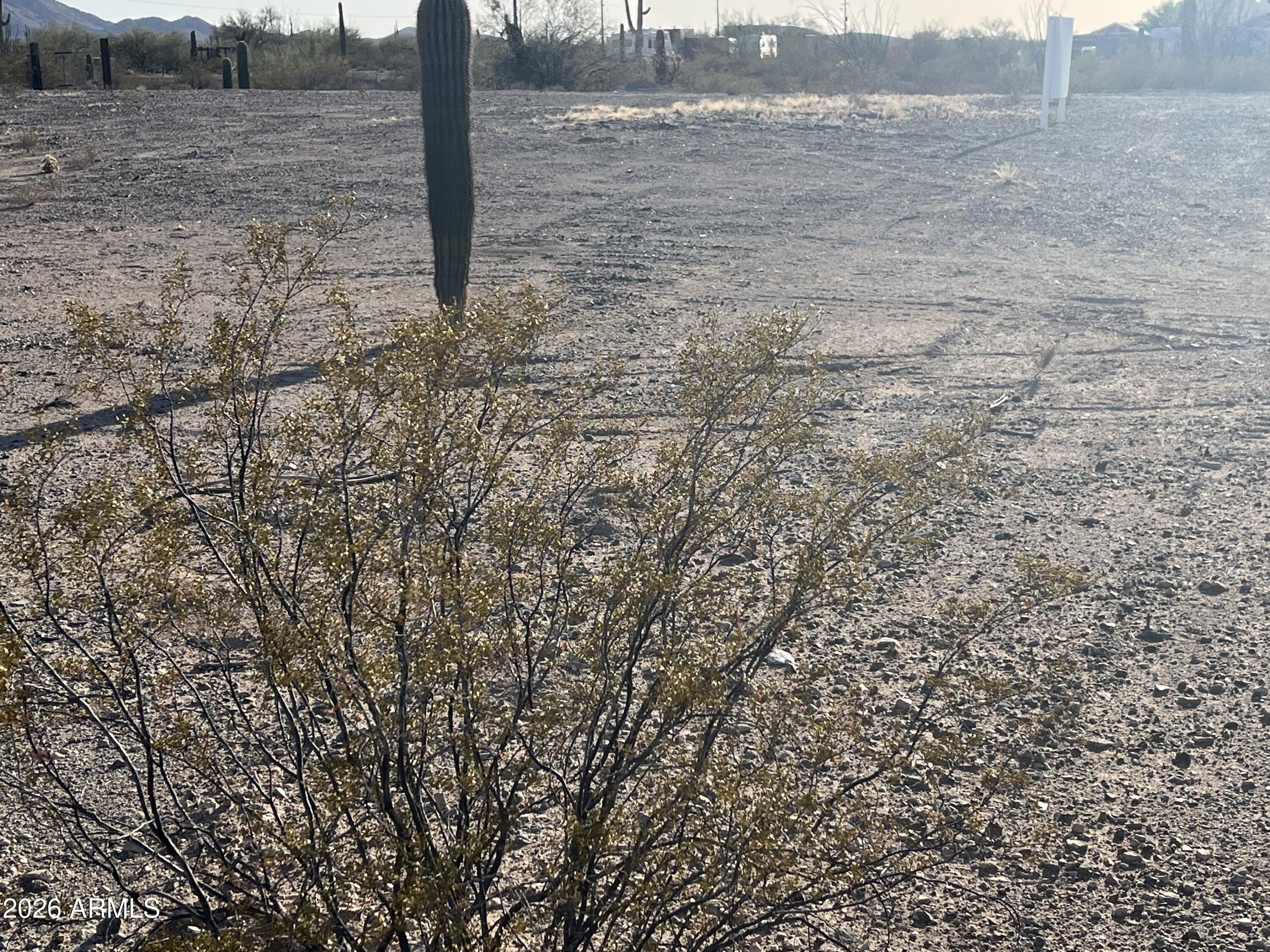 1125 West Fees Road, Unit NULL Ajo, AZ 85321 - Photo 6 of 6 a view of a dry yard