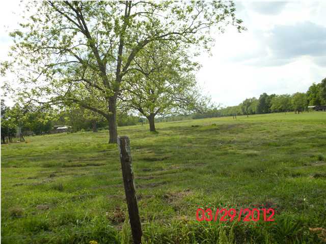 0 Jolivette Road Opelousas, LA 70570 - Photo 3 of 3 Additional Photo