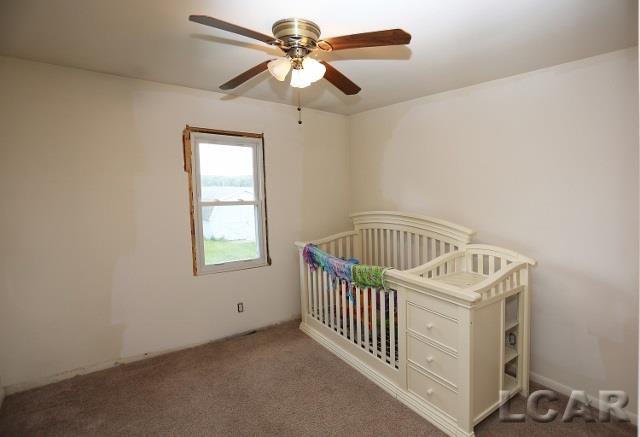 5890 West Beecher Road Adrian, MI 49221 - Photo 12 of 22