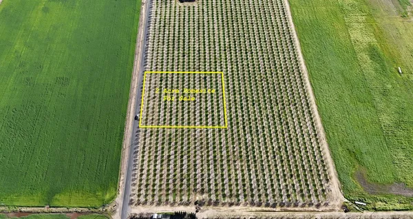 $495,000 | 17751 Sexton Road, Escalon, CA 95320