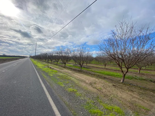 a view of a street with a yard