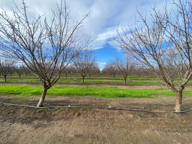 a view of green field