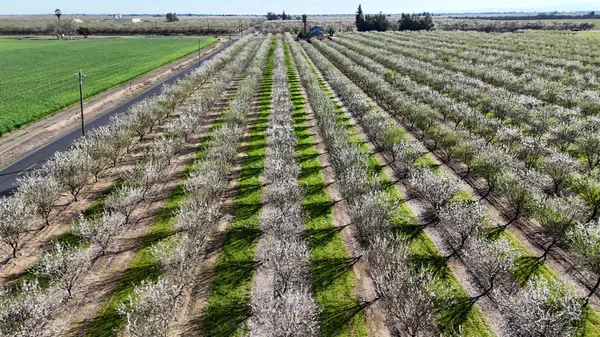 $495,000 | 17751 Sexton Road, Escalon, CA 95320