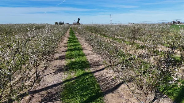 $495,000 | 17751 Sexton Road, Escalon, CA 95320