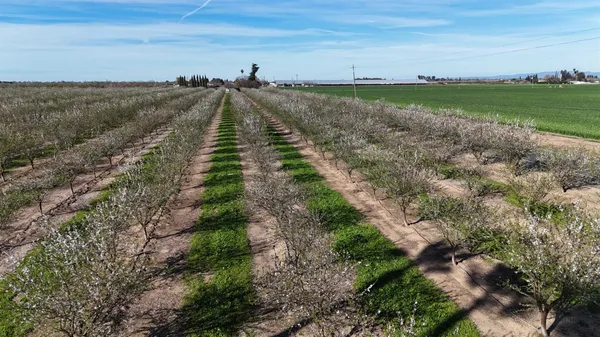 $495,000 | 17751 Sexton Road, Escalon, CA 95320