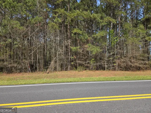 $750,000 | 0 Bear Creek Boulevard, Hampton, GA 30228