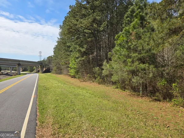 $750,000 | 0 Bear Creek Boulevard, Hampton, GA 30228