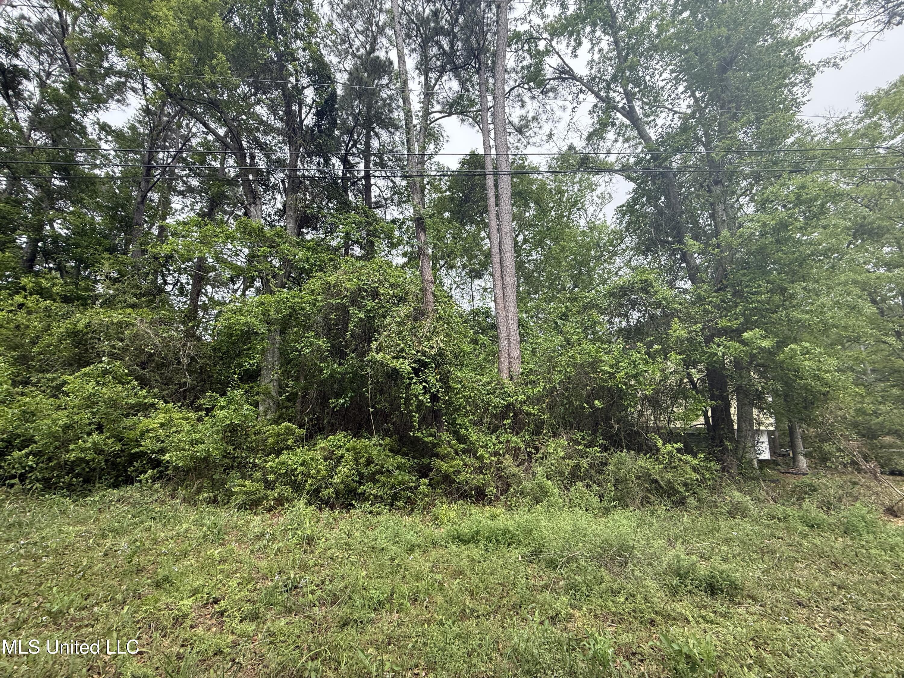 Marlin Cove Gautier, MS 39553 - Photo 4 of 7 IMG_6994