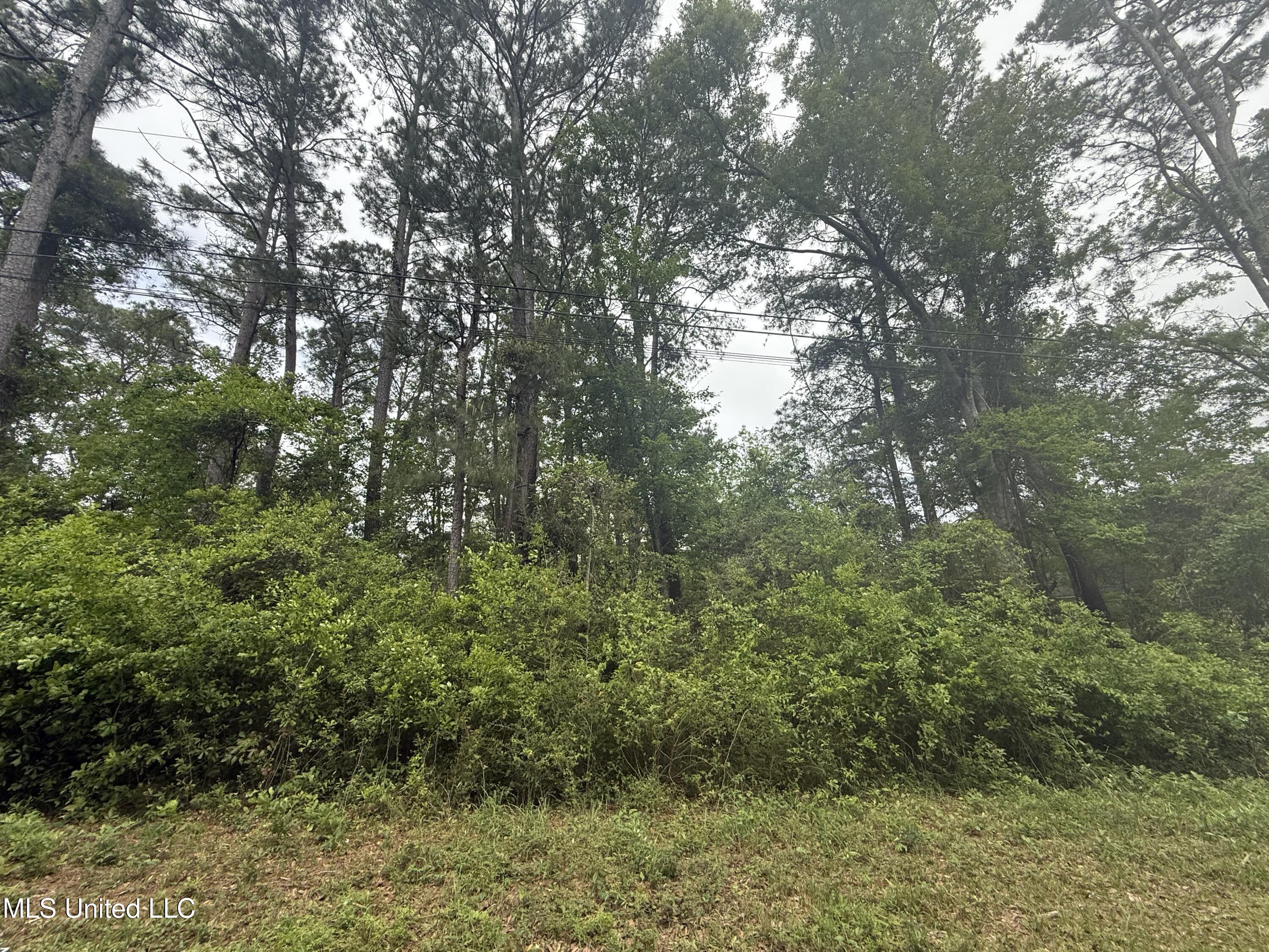 Marlin Cove Gautier, MS 39553 - Photo 5 of 7 IMG_6993