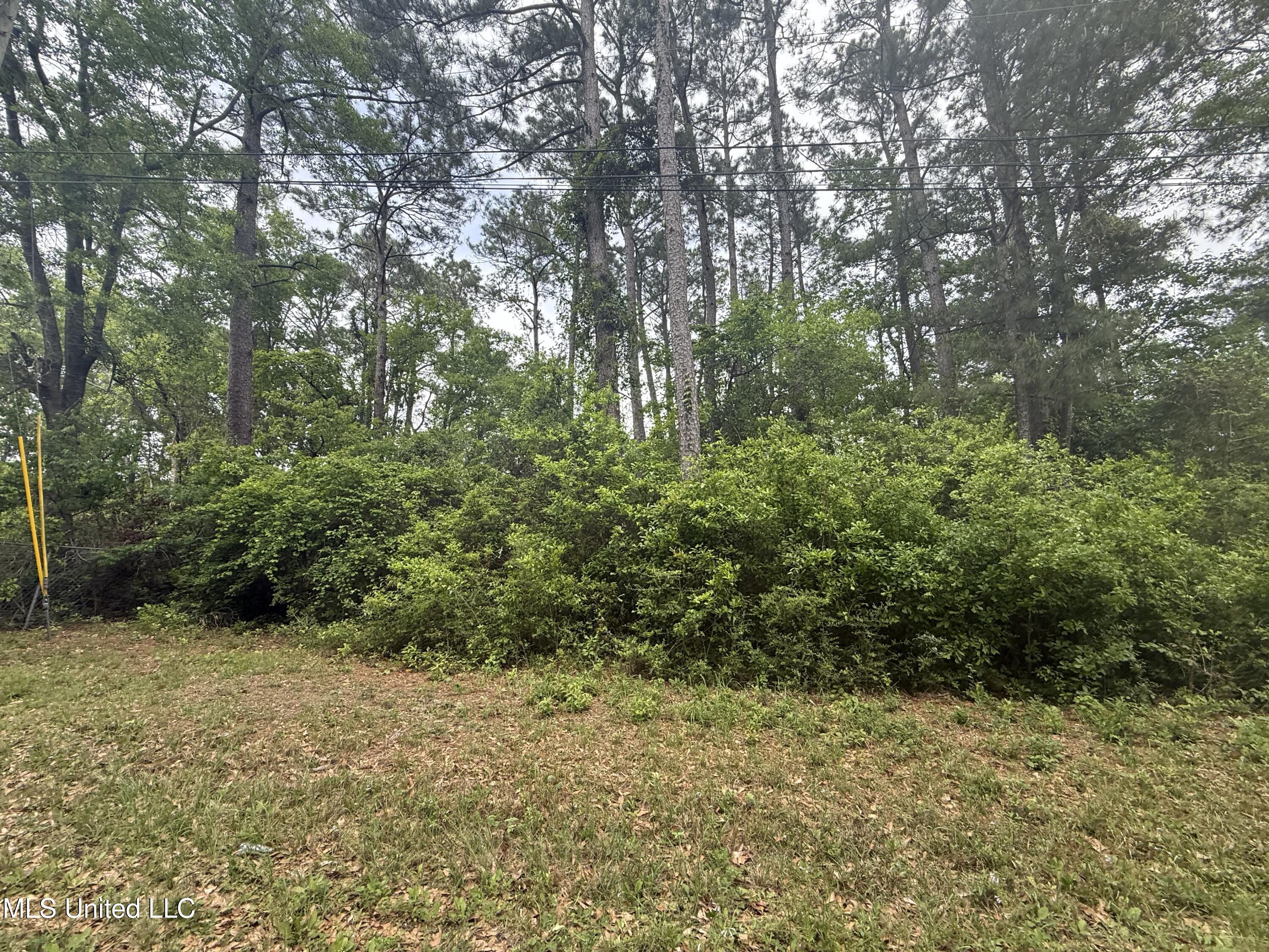 Marlin Cove Gautier, MS 39553 - Photo 6 of 7 IMG_6992