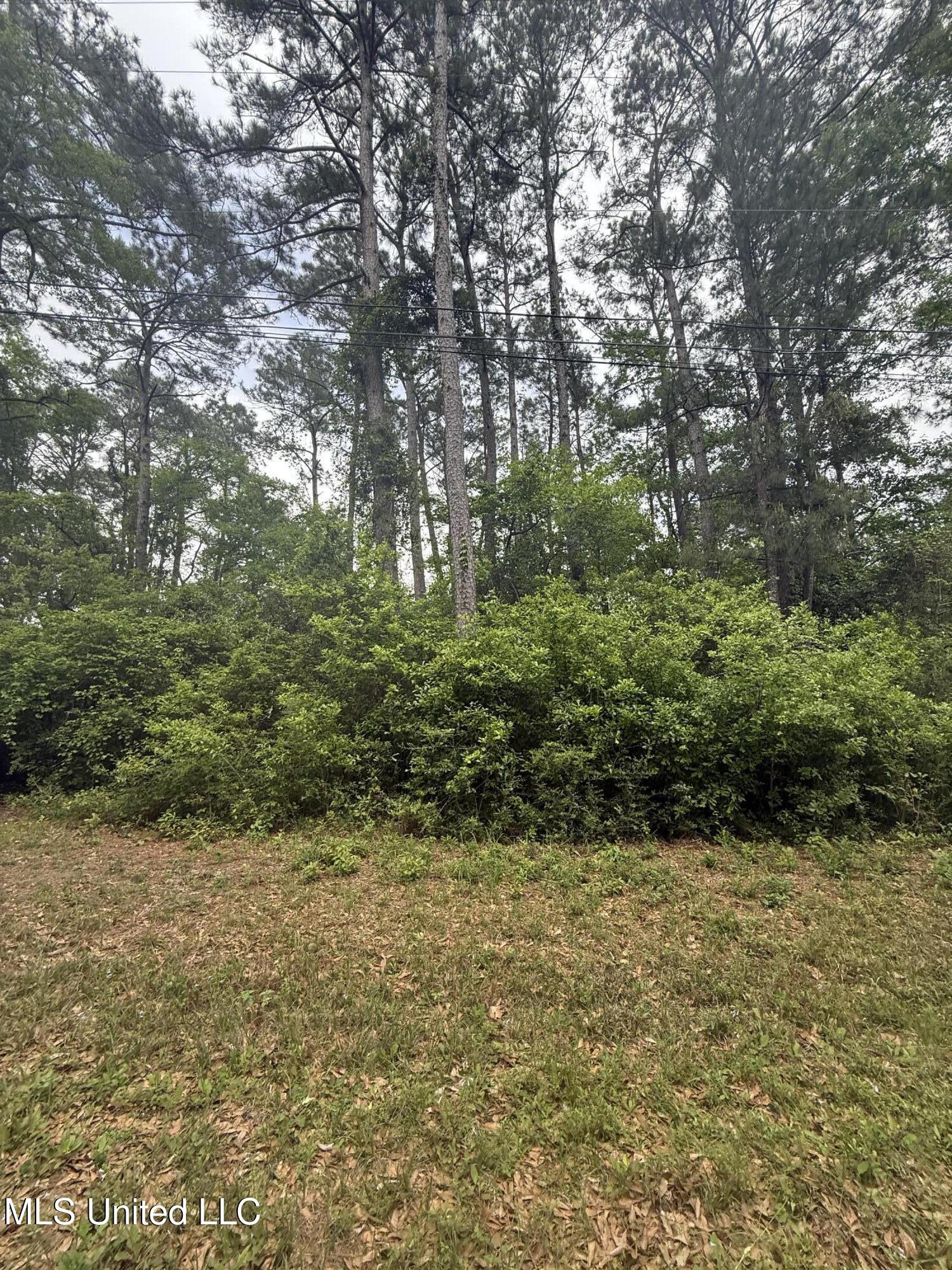 Marlin Cove Gautier, MS 39553 - Photo 7 of 7 IMG_6991