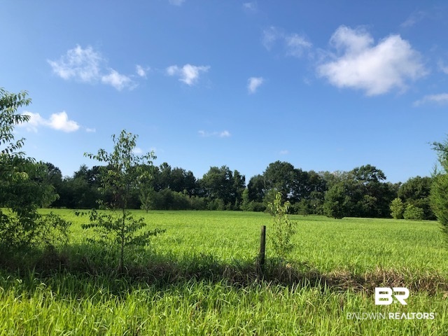 0 Beasley Road Foley, AL 36535 - Photo 19 of 29