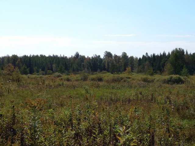 W4733 Saari Road Ogema, WI 54459 - Photo 10 of 10 Gallery Image 10