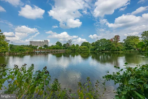a view of a lake with houses in the background