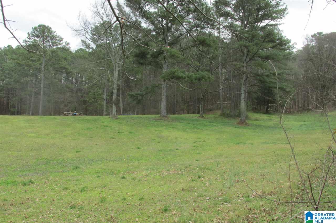 404 Highway 42 Oneonta Al Oneonta, AL 35121 - Photo 19 of 20