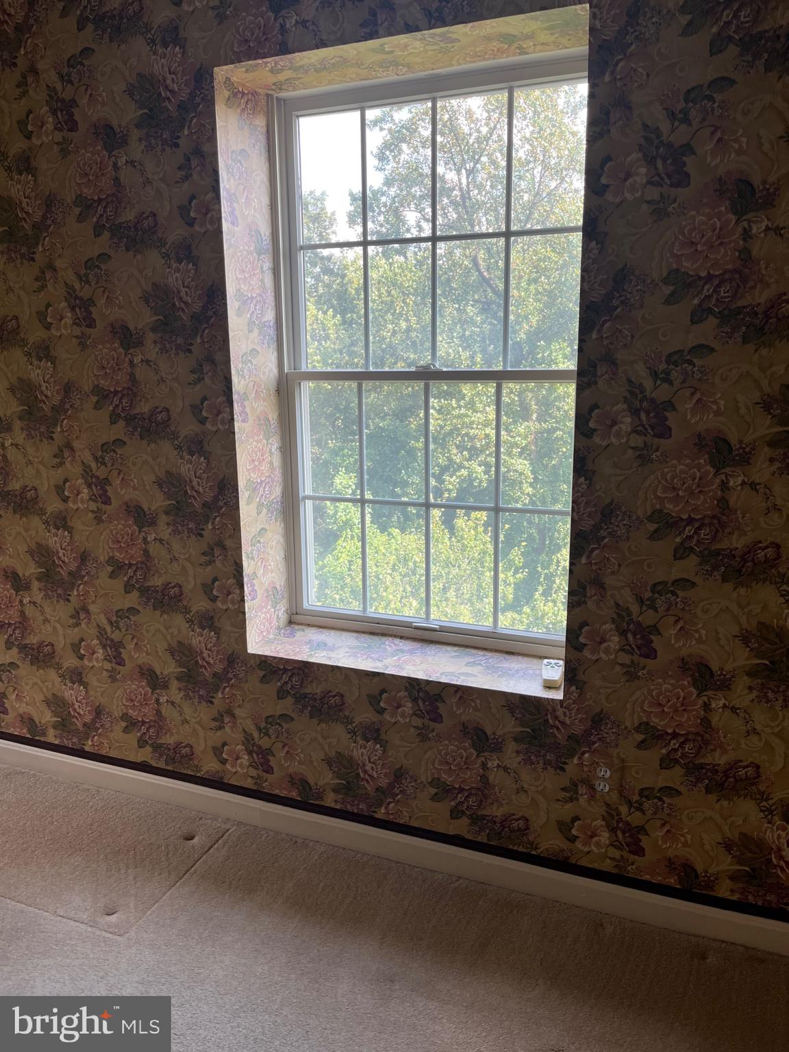 12320 Rosslare Ridge Road, Unit 506 Lutherville-Timonium, MD 21093 - Photo 31 of 49 Extra window in primary bedroom - corner unit