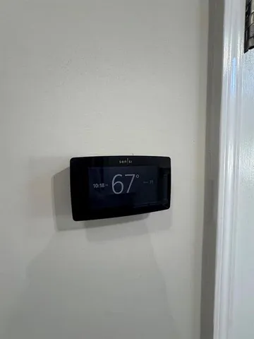 a view of a backyard with plants and large tree