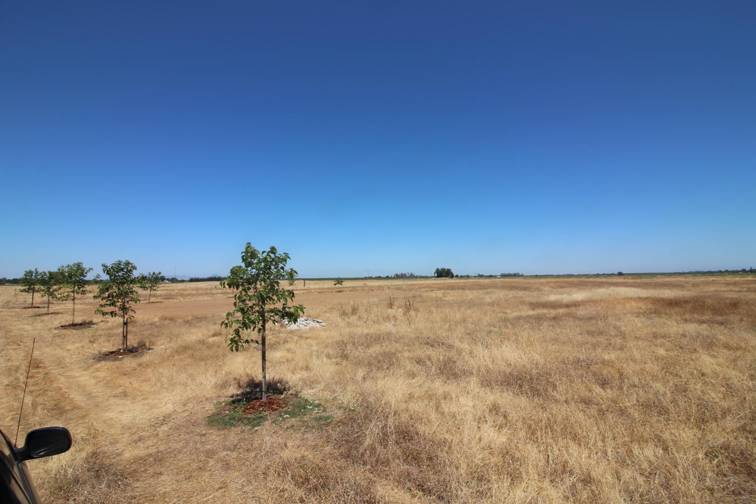 3185 North Beale Road Marysville, CA 95901 - Photo 7 of 12