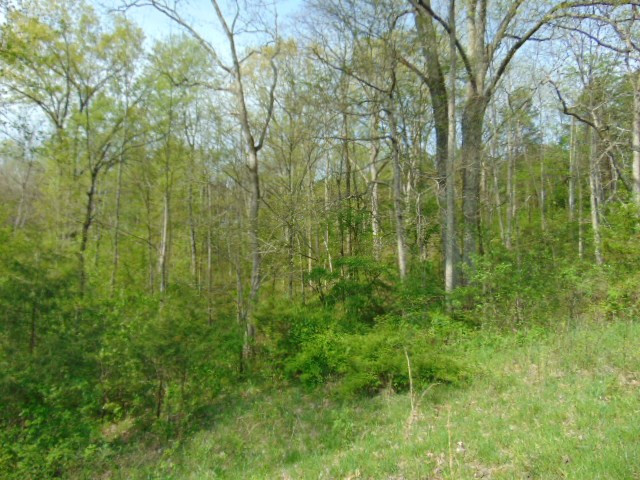 Cull Road Worthville, KY 41098 - Photo 9 of 29 Gallery Image 9