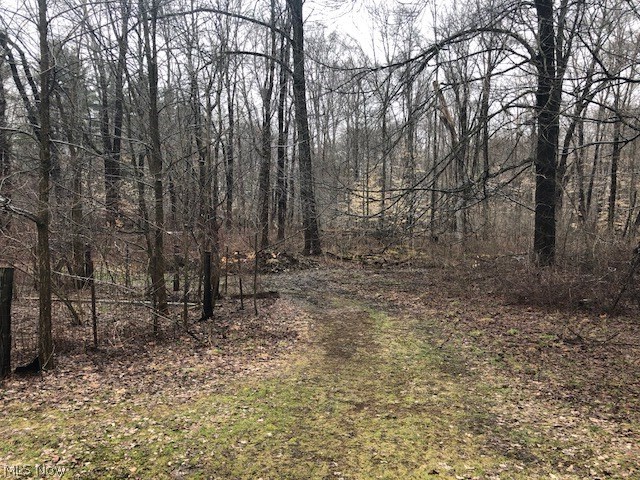 10406 Cedar Road Chesterland, OH 44026 - Photo 23 of 25