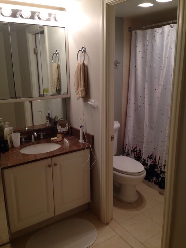 175 East Delaware Place, Unit 4807 Chicago, IL 60611 - Photo 11 of 13